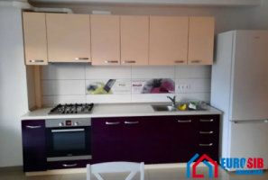 apartament-modern-de-inchiriat-in-sibiu-zona-parcul-sub-arini-3