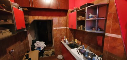 nord-zona-cameliei-gars-spatioasa-renovata-la-25000-euro-4