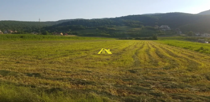 vand-parcela-teren-pt-casa-4