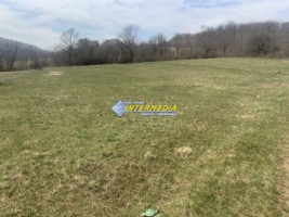 teren-intravilan-de-vanzare-in-ampoita-in-suprafata-de-2365-mp-1