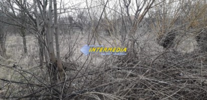 teren-intravila-de-vanzare-5600mp-in-oarda-8-euromp-3