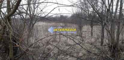 teren-intravila-de-vanzare-5600mp-in-oarda-8-euromp-4