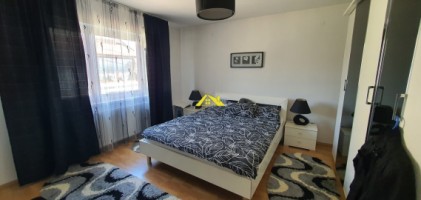 casa-individuala-de-vanzare-cetate-4