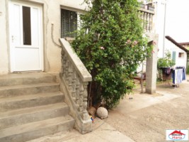 casa-parter-cu-spatiu-comercial-si-curte-id-22149