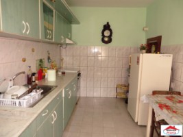 casa-parter-cu-spatiu-comercial-si-curte-id-22149-6