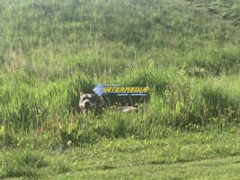 teren-intravilan-de-vanzare-in-alba-iulia-in-suprafata-de-365-mp