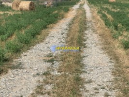 teren-intravilan-de-vanzare-500-mp-alba-micesti-ideal-constructie-case-cu-apa-si-curent-2