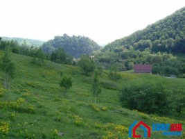 teren-intravilan-4600-mp-in-cisnadioara-la-7-km-de-sibiu-4