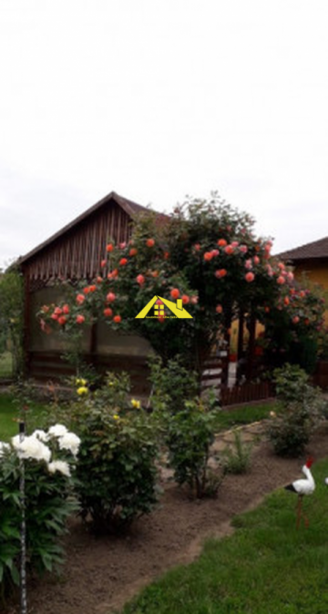 casa-1