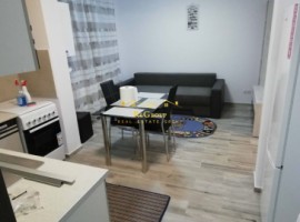 inchiriere-apartament-cu-1-camera-pacurari-2