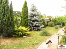 casa-cu-mansarda-in-noroieni-id-22150-9