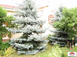 casa-cu-mansarda-in-noroieni-id-22150-11