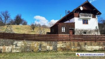 vila-9-camere-teren-2000-mp-matau-mioarele-suslanesti-1