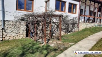 vila-9-camere-teren-2000-mp-matau-mioarele-suslanesti-5