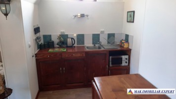 vila-9-camere-teren-2000-mp-matau-mioarele-suslanesti-29