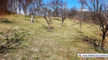 vila-9-camere-teren-2000-mp-matau-mioarele-suslanesti-48