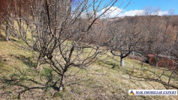 vila-9-camere-teren-2000-mp-matau-mioarele-suslanesti-52