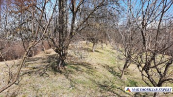 vila-9-camere-teren-2000-mp-matau-mioarele-suslanesti-53