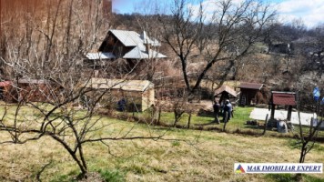 vila-9-camere-teren-2000-mp-matau-mioarele-suslanesti-54