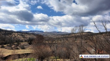 vila-9-camere-teren-2000-mp-matau-mioarele-suslanesti-56