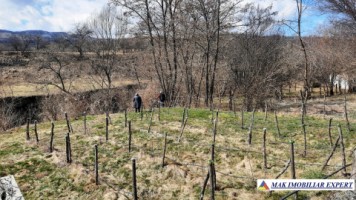 vila-9-camere-teren-2000-mp-matau-mioarele-suslanesti-59