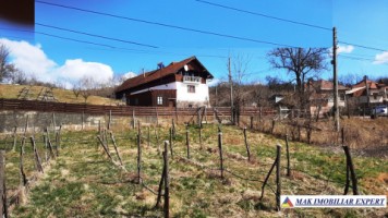 vila-9-camere-teren-2000-mp-matau-mioarele-suslanesti-58
