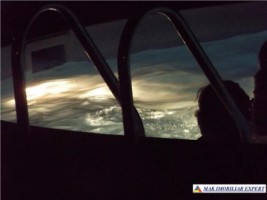 vila-7-camere-teren-4000-mp-mihaesti-dublura-3