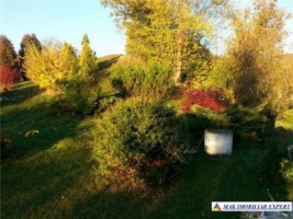 vila-7-camere-teren-4000-mp-mihaesti-dublura-7