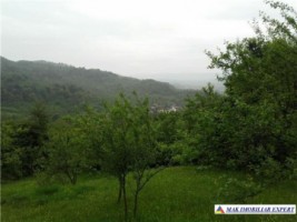 vila-7-camere-teren-4000-mp-mihaesti-dublura-8