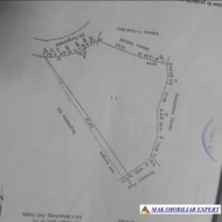 teren-intravilan-5000-mp-de-vanzare-pe-calea-targovistei-campulung-muscel-arges-9