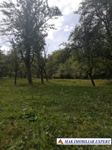 teren-4800-mp-intravilan-de-vanzare-in-godeni-arges