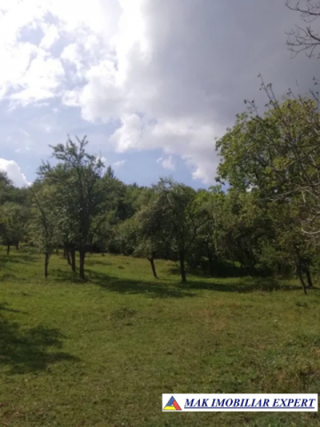 teren-4800-mp-intravilan-de-vanzare-in-godeni-arges-1