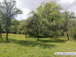 teren-4800-mp-intravilan-de-vanzare-in-godeni-arges-3