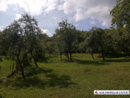 teren-4800-mp-intravilan-de-vanzare-in-godeni-arges-4