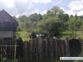 teren-4800-mp-intravilan-de-vanzare-in-godeni-arges-6