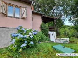 casa-de-vacanta-4-camere-teren-3700-mp-bughea-de-jos-5