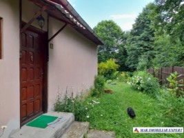 casa-de-vacanta-4-camere-teren-3700-mp-bughea-de-jos-9