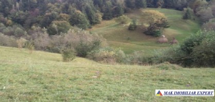 teren-4398-mp-intravilan-dambovicioara-1
