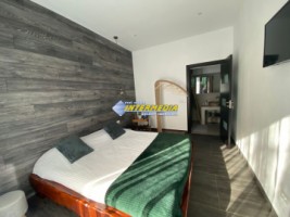 casa-de-lux-in-stil-mediteranean-mobilata-si-utilata-de-vanzare-cetate-10
