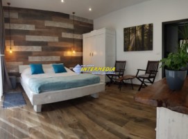 casa-de-lux-in-stil-mediteranean-mobilata-si-utilata-de-vanzare-cetate-14