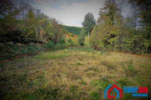 teren-intravilan-2900-mp-de-vanzare-in-sibiu-zona-tocile-2