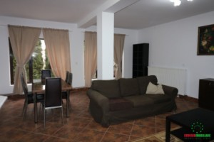 apartament-la-casa-cu-4-camere-de-inchiriat-zona-bulevardul-victoriei-9