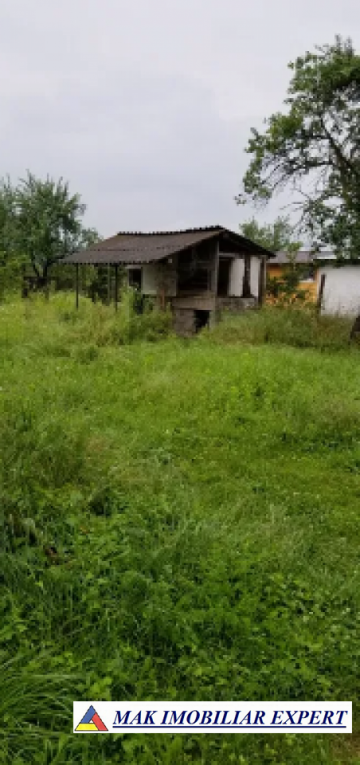casa-3-camere-teren-1001-mp-stalpeni-11