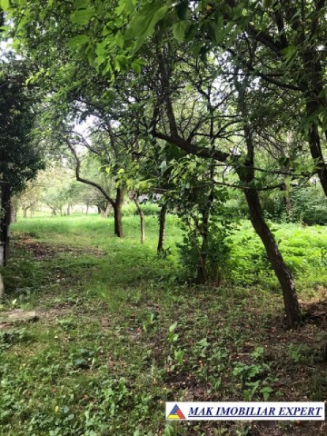 vand-teren-intravilan-2400-mp-poienarii-de-muscel-arges-3