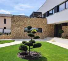 casa-de-vanzare-alba-micesti