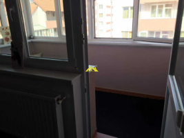 se-inchiriaza-apartament-in-zona-anghel-saligny-4