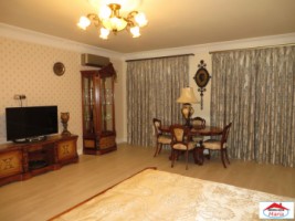 imobil-vila-unicat-cu-arhitectura-extravaganta-in-stil-baroc-id-21961-10