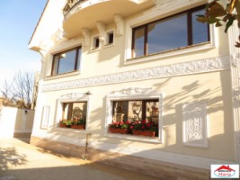imobil-vila-unicat-cu-arhitectura-extravaganta-in-stil-baroc-id-21961-11