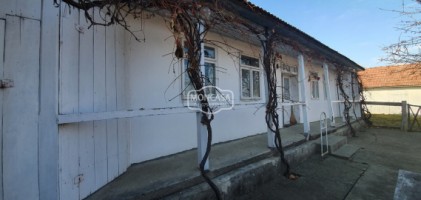 casa-batraneasca-locuibila-si-teren-4000-mp-in-cosula