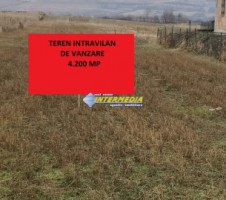 teren-intravilan-4200-mp-de-vanzare-alba-micesti